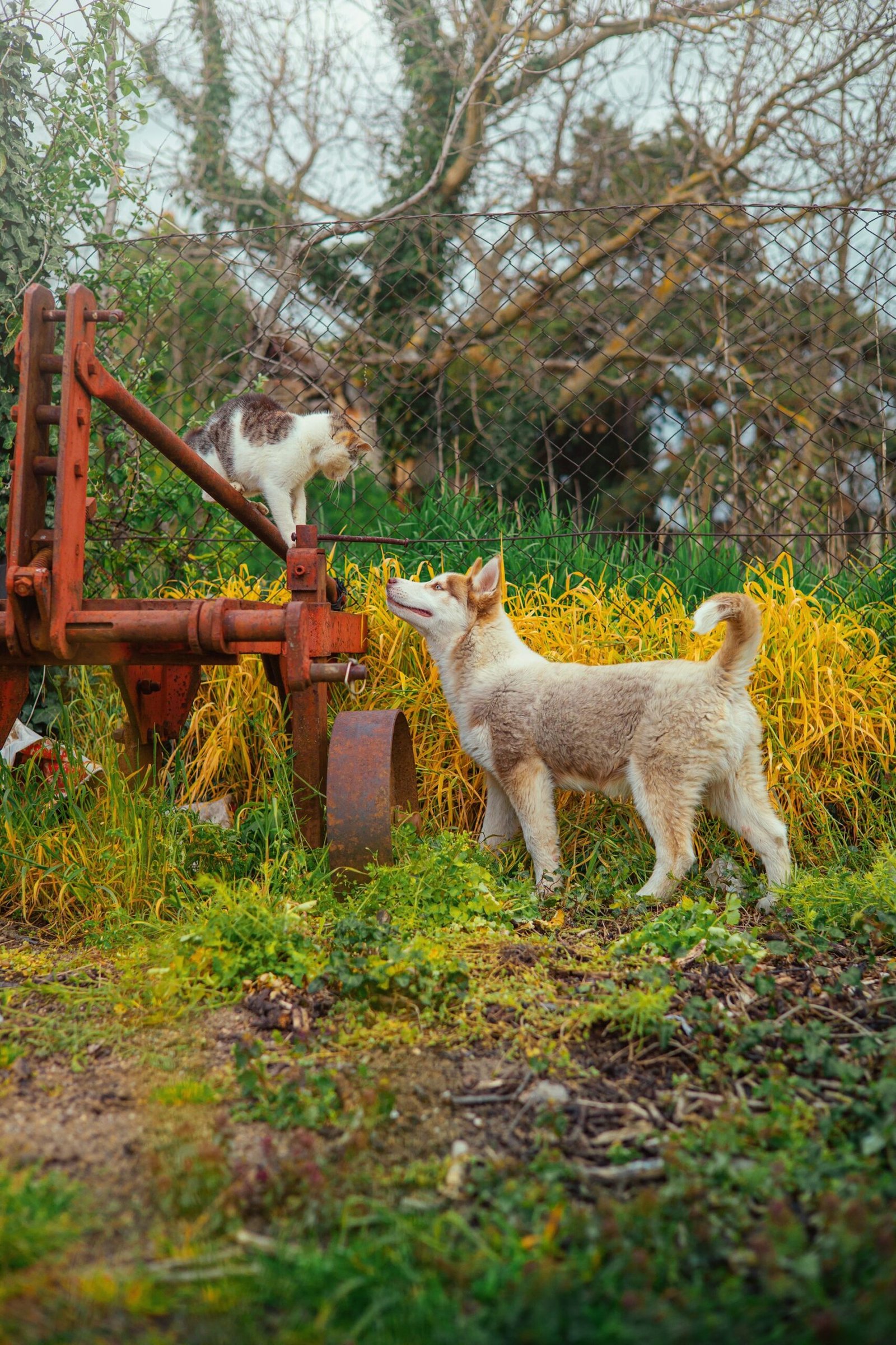 Home Adrian Rosco Stef G GLNNvejV8 Unsplash Scaled