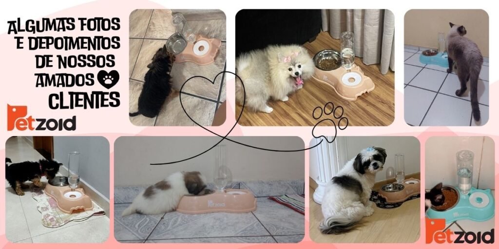 petzoid depoimentos comedouro 1 petzoid depoimentos comedouro 1