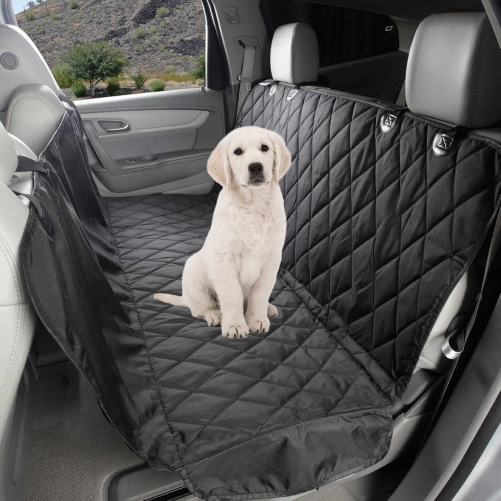 capa traseiro basico petzoid copia