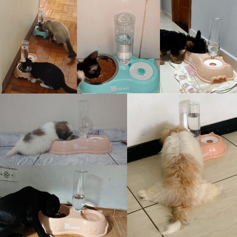 comedouro e bebedouro 10